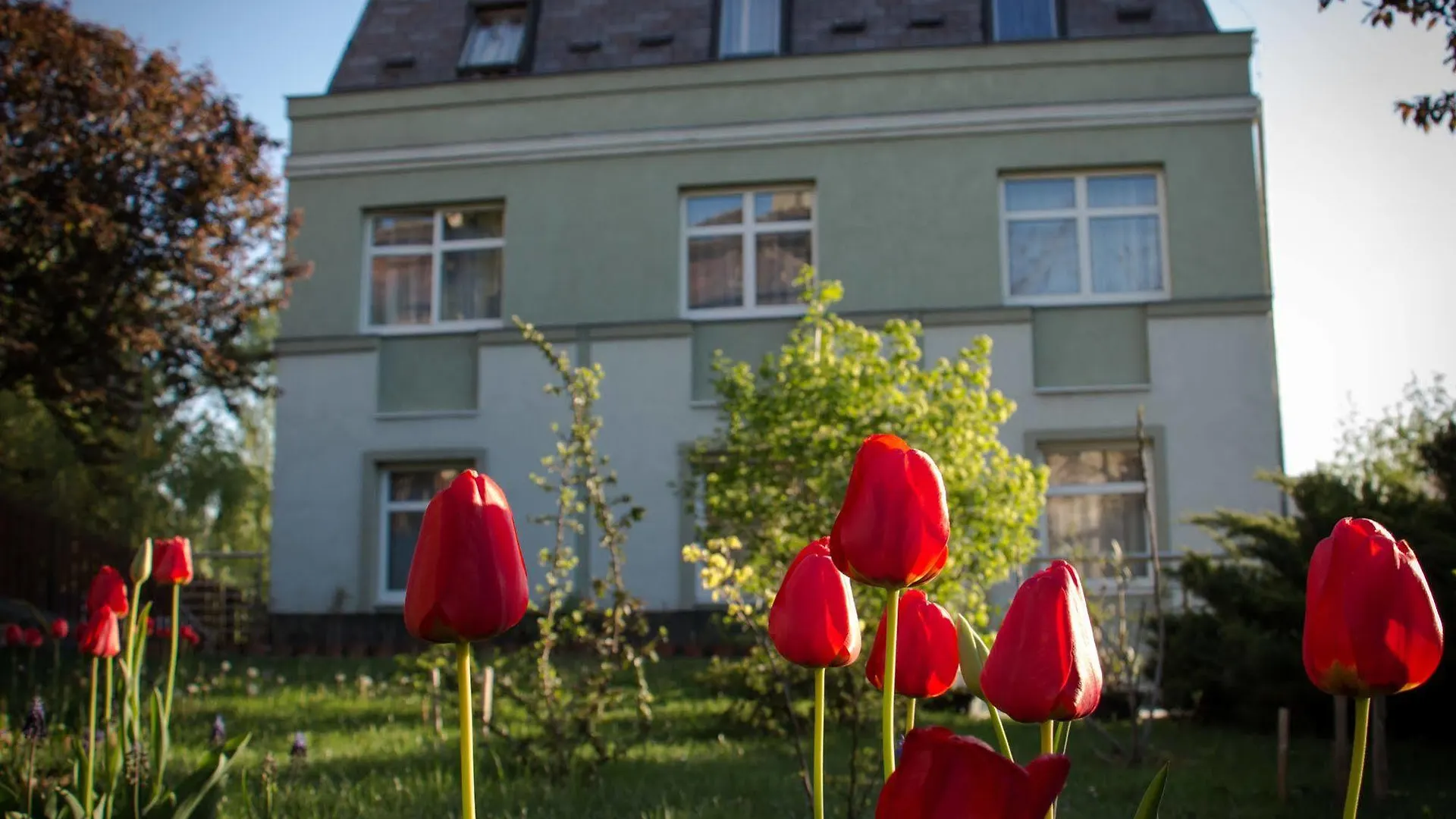 ***  Jagello Business Hotel Budapest Hungary